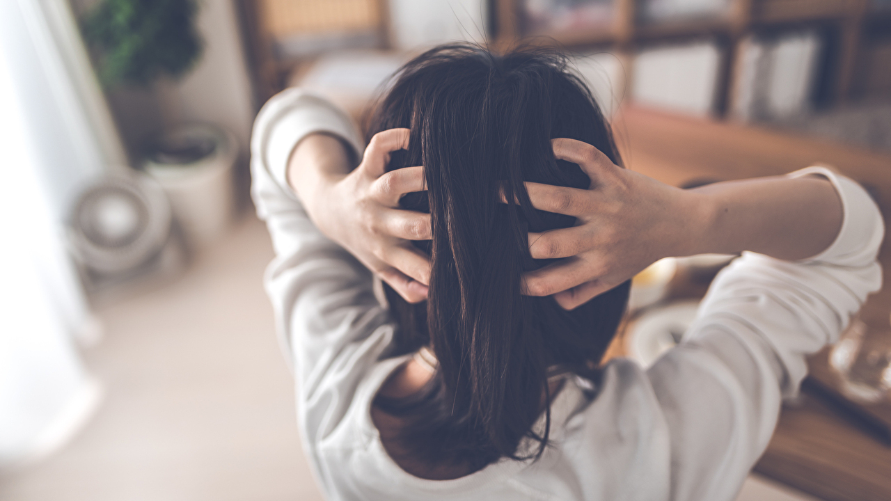 フロセミド ブレインファーマ リーフレット